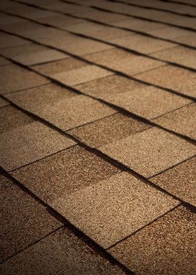 Beristain Roofing Images