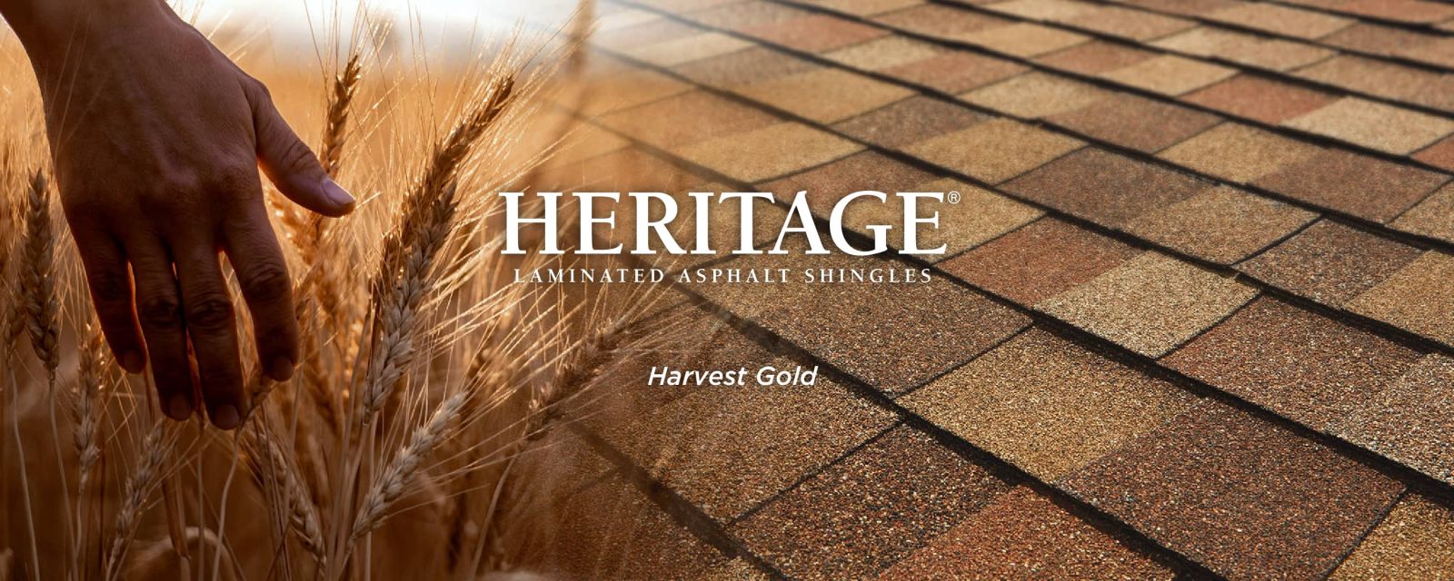 Beristain Roofing Images