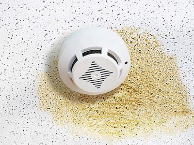 Beristain Roofing Images