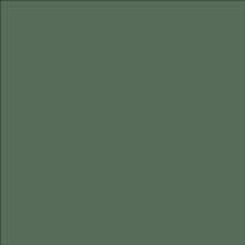 Shamrock