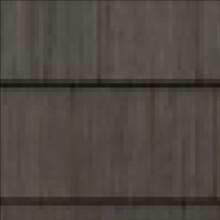 Black Walnut